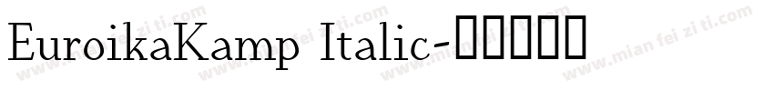 EuroikaKamp Italic字体转换